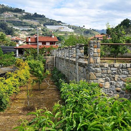 Le Rose Villa San Biagio della Cima Dış mekan fotoğraf