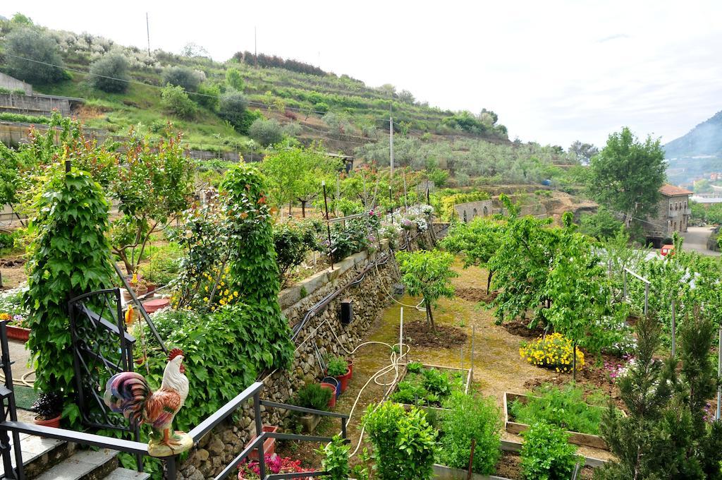 Le Rose Villa San Biagio della Cima Dış mekan fotoğraf
