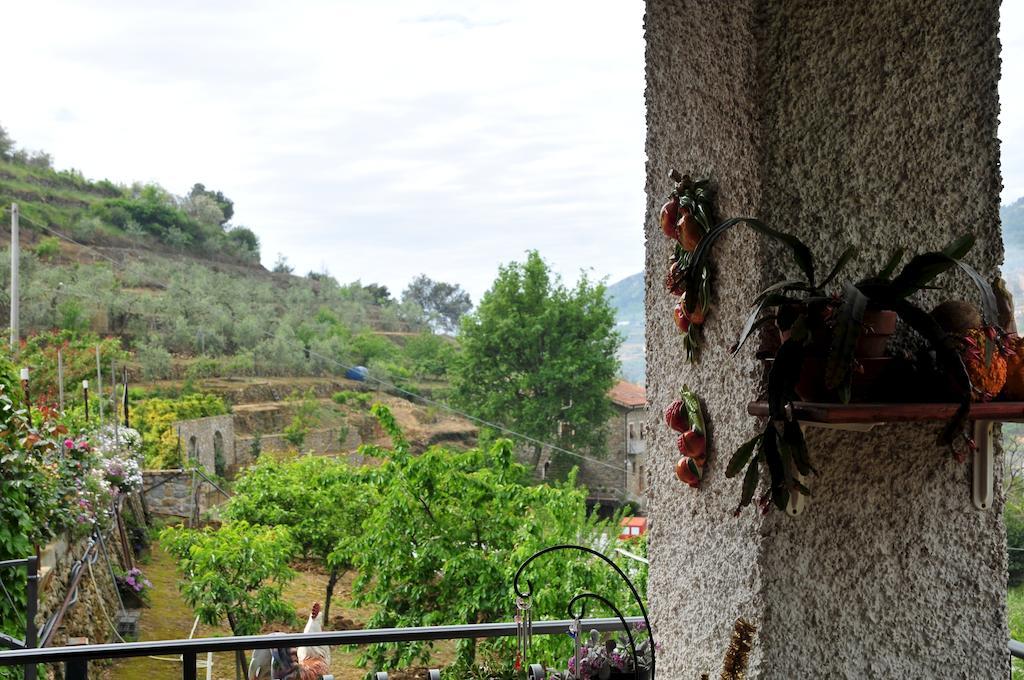 Le Rose Villa San Biagio della Cima Dış mekan fotoğraf