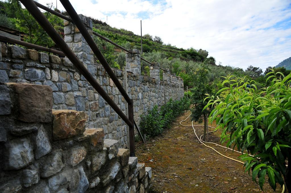 Le Rose Villa San Biagio della Cima Dış mekan fotoğraf